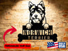 A personalized Norwich Terrier Dog Sign with a dog on it and a potted plant.