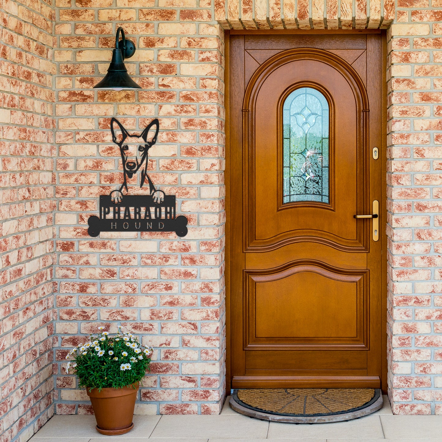 A wooden front door with a Pharaoh Hound Personalized Metal Sign, Custom Dog Name Wall Decor, Unique Home Art for Animal Lovers, Ideal Gift on a brick exterior wall. A potted plant with white flowers is placed on the doorstep, adding a touch of charm to the entrance beneath the beautifully crafted pet wall art.