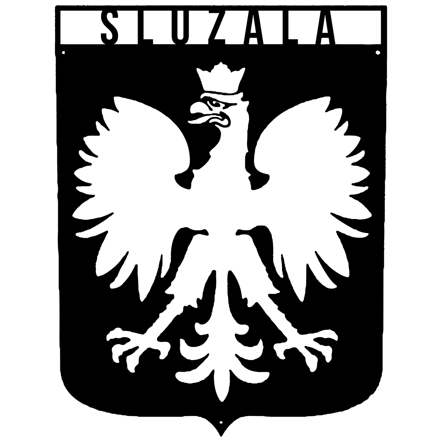 Custom Polish Eagle Metal Sign – Personalized Polish Family Name Decor, Custom Heritage Wall Art