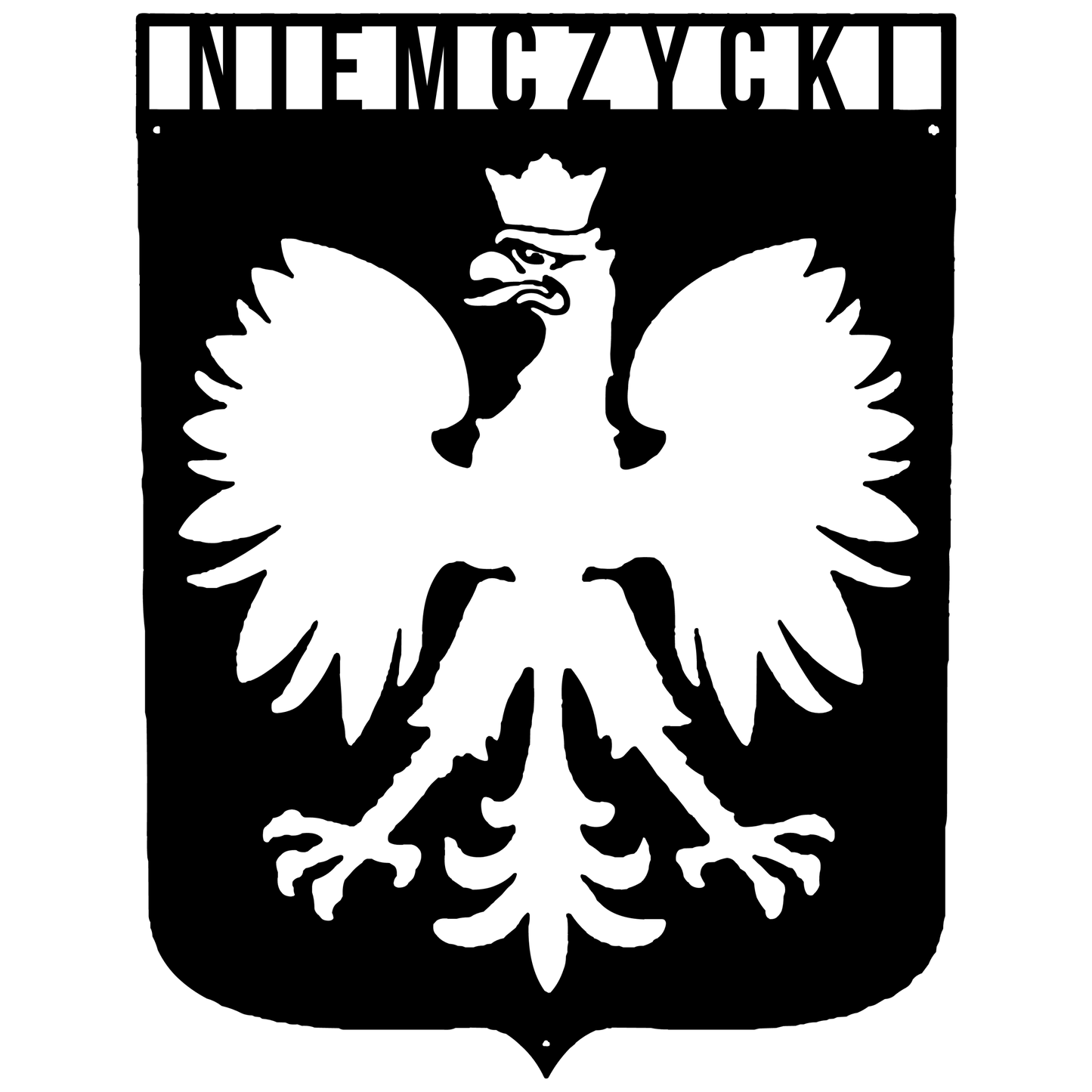 Custom Polish Eagle Metal Sign – Personalized Polish Family Name Decor, Custom Heritage Wall Art