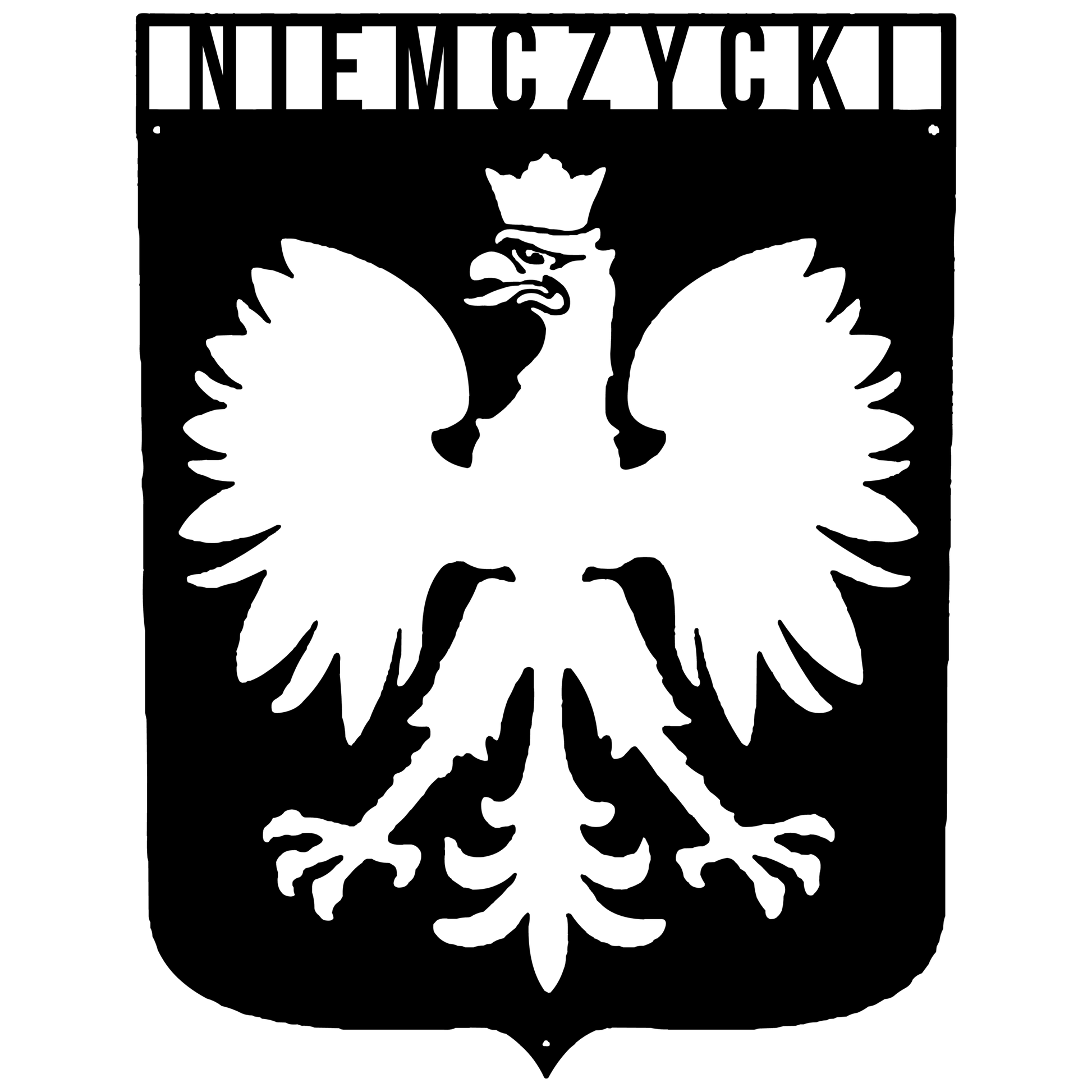 Custom Polish Eagle Metal Sign – Personalized Polish Family Name Decor, Custom Heritage Wall Art