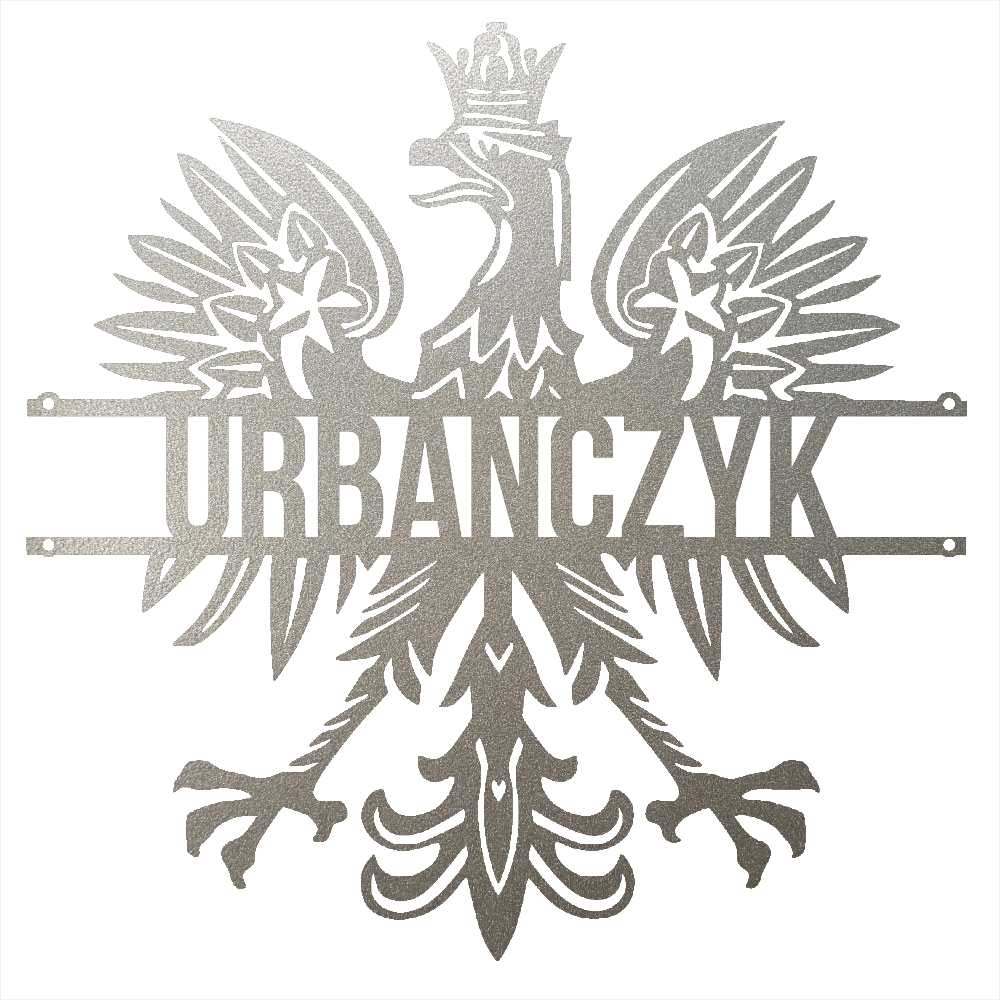 Steel Sign Silver / 12 Polish Eagle Name Sign | Personalized Last Name Metal Wall Art